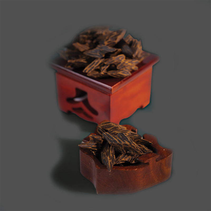 Tiger Oud