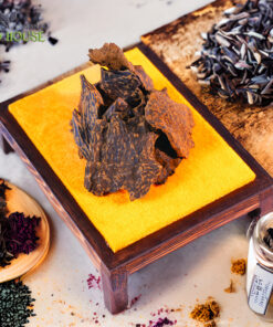 عود محسن موش شر Oud muhasan Mus Char 乌德穆哈桑穆查