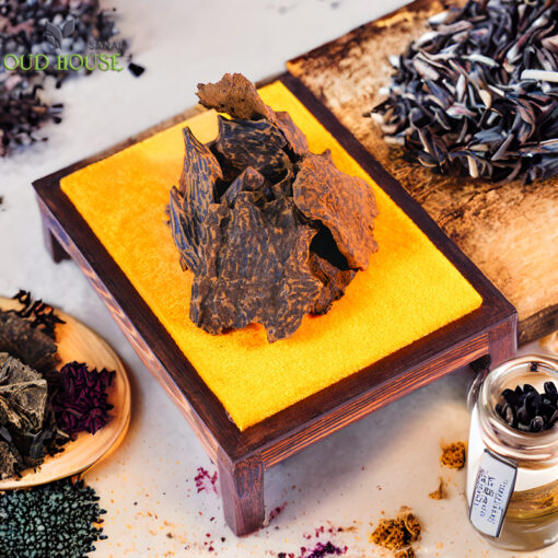 عود محسن موش شر Oud muhasan Mus Char 乌德穆哈桑穆查