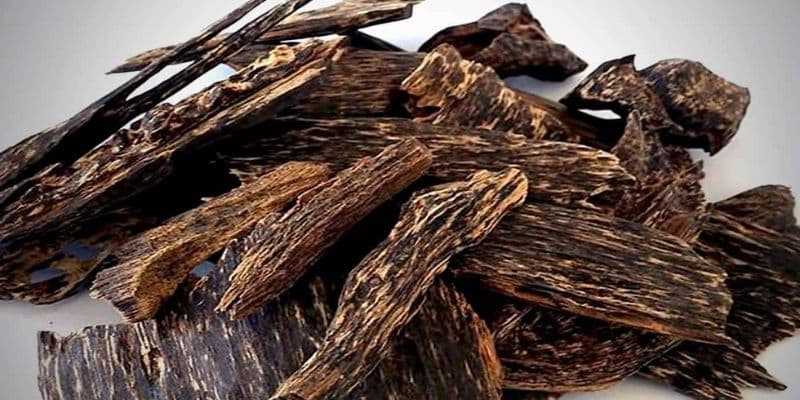 استخدامات فريدة لقطع اللبان