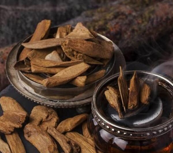 التأثيرات المتميزة لخشب العود الصيني – التأثيرات الفعالة على خشب العود الصيني