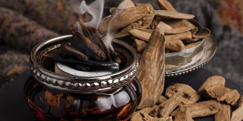 العود منتج مصنوع من جذوع أشجار العود المتضررة