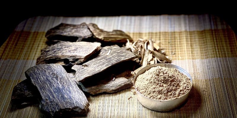 تعرف على قطع اللبان من بيت العود
