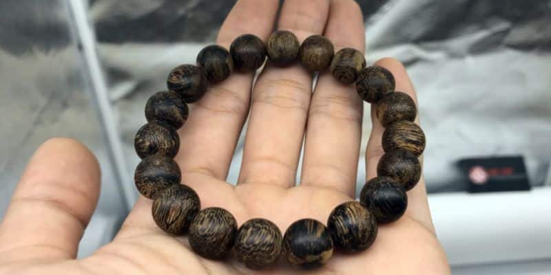 معرفة أساسية بأساور العود