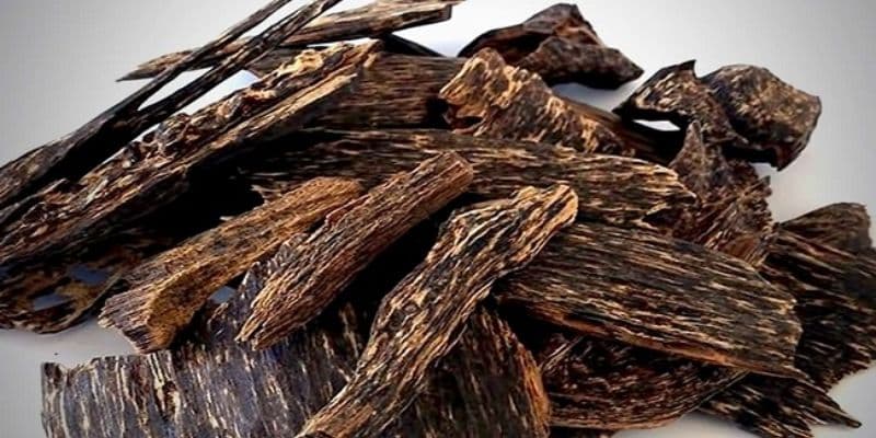 من خصائص خشب العود أنه لا تنتهي صلاحيته.
