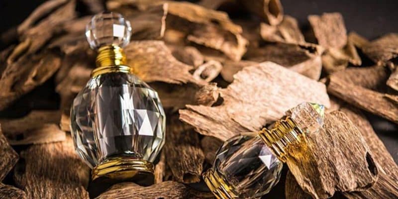 يساعد زيت عود موروكي العطري على جلب الحظ والثروة
