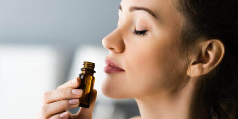 يُستخرج زيت العود العطري من راتنج شجرة العود