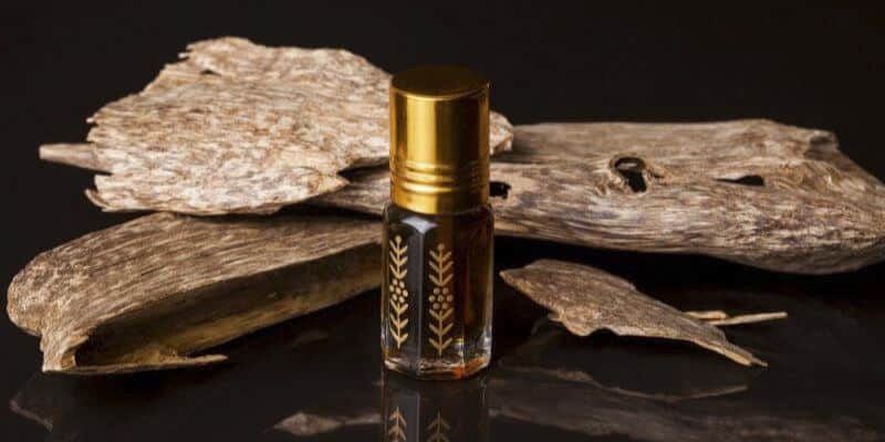 يُطلب-زيت-اللبان-العطري-بلا-هوادة-على-الرغم-من-أنه-ليس-رخيص-الثمن